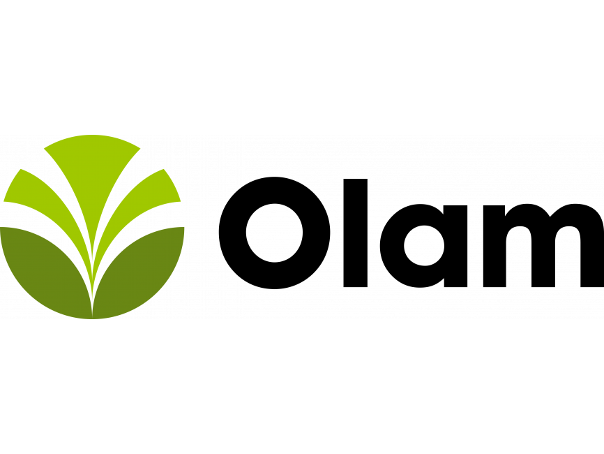 Olam Metro TV (720p)